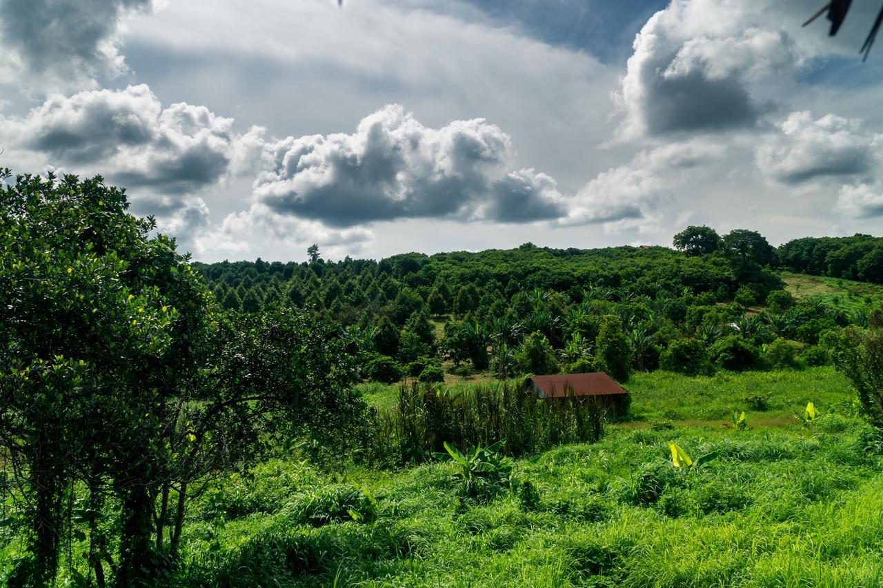 بانلونغ Mr Pov Home Stay المظهر الخارجي الصورة