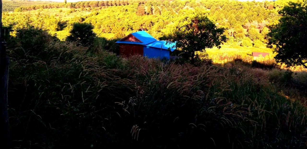 بانلونغ Mr Pov Home Stay الغرفة الصورة